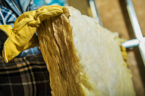 Best Spray Foam Insulation in Flowery Branch, GA